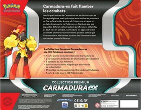 POKEMON - COLLECTION PREMIUM - CARMADURA EX - Arrière